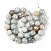 Natural Agate Beads Strands G-N326-76D-2
