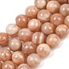 Natural Sunstone Beads Strands G-G342-A02-10.5mm-2
