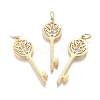316 Surgical Stainless Steel Pendants STAS-L242-01G-1