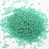 8/0 Round Glass Seed Beads SEED-J011-F8-178-2