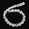 Natural Quartz Crystal Beads Strands G-K359-C01-01-3