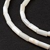 Natural Freshwater Shell Dyed Beads Strands SHEL-M018-11-12-4