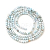 Natural Larimar Beads Strands G-G259-D13-2mm-3