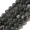 Natural Biotite Beads Strands G-F784-A03-02-1