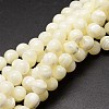 Shell Beads Strands SSHEL-E571-39-6mm-1
