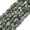 Natural Green Spot Jasper Beads Strands G-G146-A26-02-1