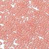 Glass Seed Beads X1-SEED-H002-E-A1405-3