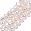 Natural Cultured Freshwater Pearl Beads Strands PEAR-N014-05H-2