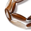 Natural Agate(Dyed & Heated) Beads Strands G-M446-A01-01A-4