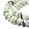 Natural American Turquoise(Jasper) Beads Strands G-F715-066-3