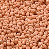 Baking Paint Glass Seed Beads SEED-K009-01B-13-2