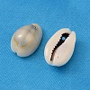 Natural Cowrie Shell Pendants BSHE-S047-2