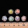 Transparent Acrylic Beads TACR-T024-06B-4