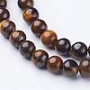 Natural Tiger Eye Beads Strands GSR6MMC014-B-2