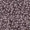 TOHO Round Seed Beads X-SEED-TR11-0353-2