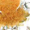 TOHO 8/0 Round Beads X-SEED-TR08-0002A-1