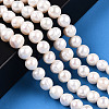 Natural Cultured Freshwater Pearl Beads Strands PEAR-N013-17N-01-2