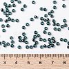 MIYUKI Round Rocailles Beads X-SEED-G008-RR0362-4