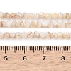 Natural Freshwater Shell Beads Strands SHEL-T011-02-3mm-4