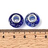 Glow In The Dark Handmade Luminous Style Lampwork Large Hole European Beads LPDL-R007-02B-3