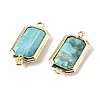 Dyed Natural Howlite Faceted Rectangle Connector Charms G-H323-04G-02-2