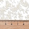 Transparent Inside Colours Glass Seed Beads SEED-H003-04B-4