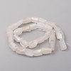 Electroplated Natural Quartz Crystal Beads Strands G-D0009-01B-08-2