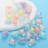 Tansparent Acrylic Beads PW-WGFE21F-01-3