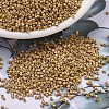 MIYUKI Delica Beads SEED-X0054-DB1832F-1