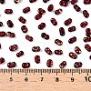 Picasso Spray Painted Glass Seed Beads SEED-T006-04-28-4