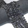 Natural Iolite Beads Strands G-K389-B29-01-2