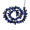Natural Lapis Lazuli Beads Strands G-Z091-A23-2