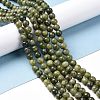 Natural Taiwan Jade Beads Strands X-GSR6mmC032-1