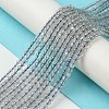 Natural Labradorite Beads Strands G-Z034-B04-02-2