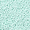 6/0 Glass Seed Beads SEED-L011-08A-14-3