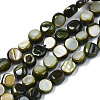 Natural Trochid Shell/Trochus Shell Beads Strands SHEL-S258-083-B01-1