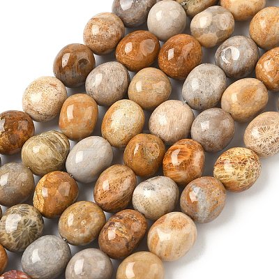 Natural Fossil Coral Beads Strands G-C038-02T-1