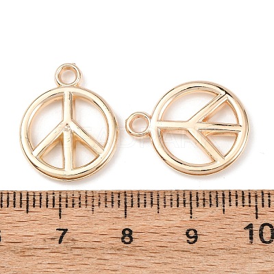 CCB Plastic Pendants CCB-I006-08KCG-1