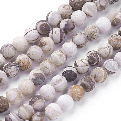 Natural America Petrified Wood Beads Strands G-P430-03-B-1