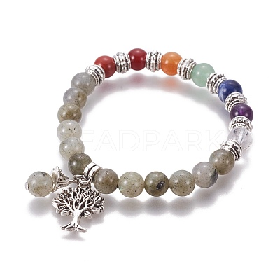 Chakra Jewelry BJEW-I273-A04-1