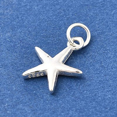 925 Sterling Silver Charms STER-Q003-01C-S-1