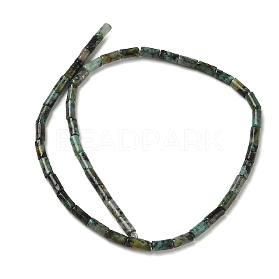 Natural African Turquoise(Jasper) Beads Strands G-B091-A25-01-1