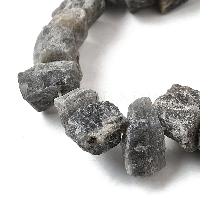 Natural Labradorite Beads Strands G-S386-B04-1