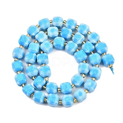 Natural Howlite Beads Strands G-C025-01B-1