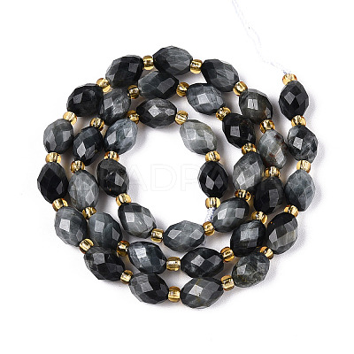 Natural Eagle Eye Stone Beads Strands G-N342-35-8x6-03-1