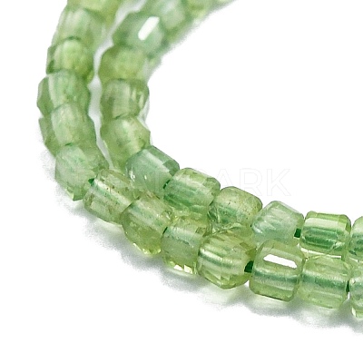 Natural Green Apatite Beads Strands G-P457-B01-12-1
