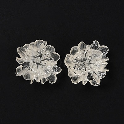Transparent Resin Cabochons LS-RESI-G027-01A-1