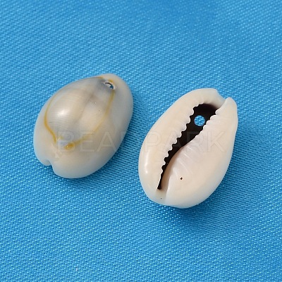 Natural Cowrie Shell Pendants BSHE-S047-1