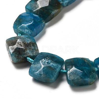 Natural Apatite Beads Strands G-G980-04-1