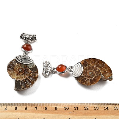 Natural Carnelian Fossil Snail Pendants G-F062-15-1